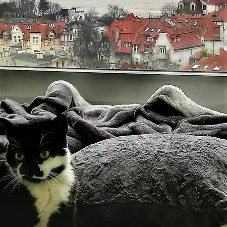 Przy Plaży Z Widokiem Na Morze Kwatera prywatna *