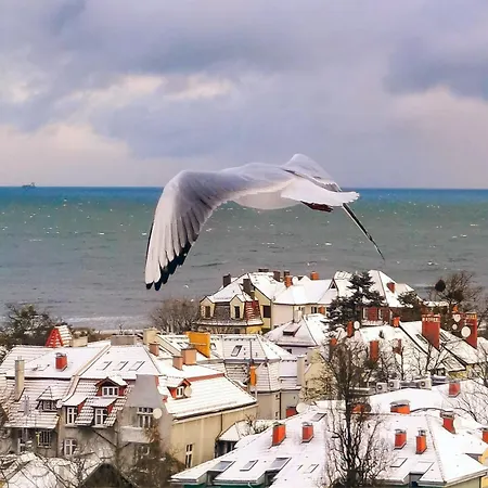 Przy Plaży Z Widokiem Na Morze Kwatera prywatna *