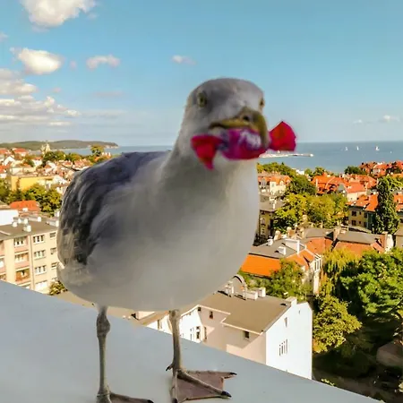 Przy Plaży Z Widokiem Na Morze