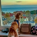 Alloggio in famiglia Przy Plazy Z Widokiem Na Morze *