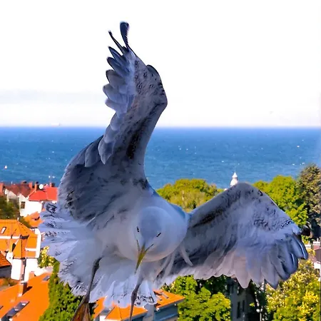 Homestay Przy Plazy Z Widokiem Na Morze Sopot