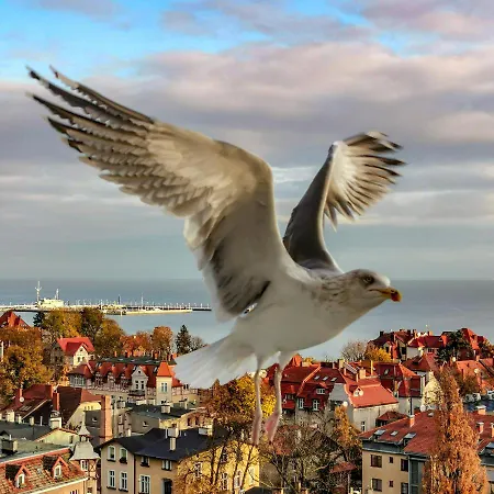 Ubytování v soukromí Przy Plazy Z Widokiem Na Morze *