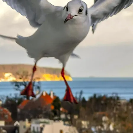 Przy Plazy Z Widokiem Na Morze Ubytování v soukromí Sopoty