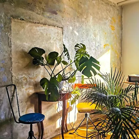 Przy Plazy Z Widokiem Na Morze *