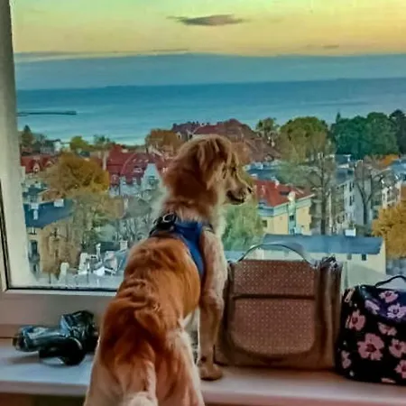 Privatunterkunft Przy Plazy Z Widokiem Na Morze *