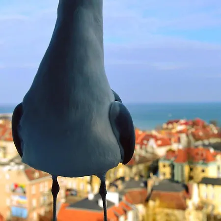 Ubytování v soukromí Przy Plazy Z Widokiem Na Morze