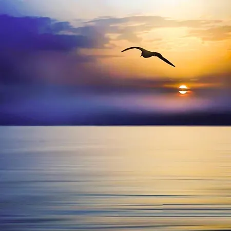 Проживание в семье Przy Plazy Z Widokiem Na Morze *