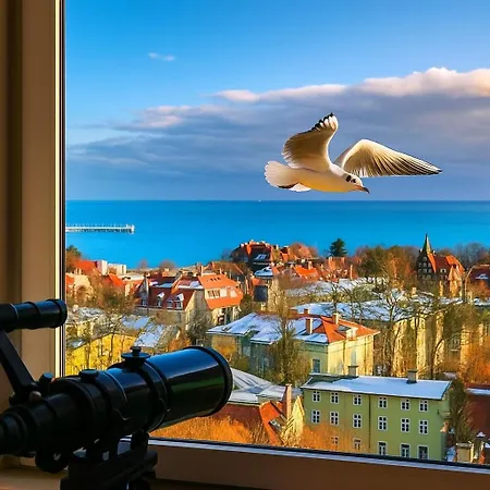 Przy Plazy Z Widokiem Na Morze *