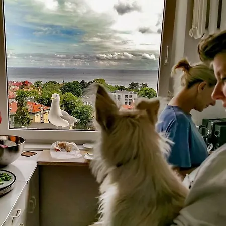 Przy Plazy Z Widokiem Na Morze Sopot