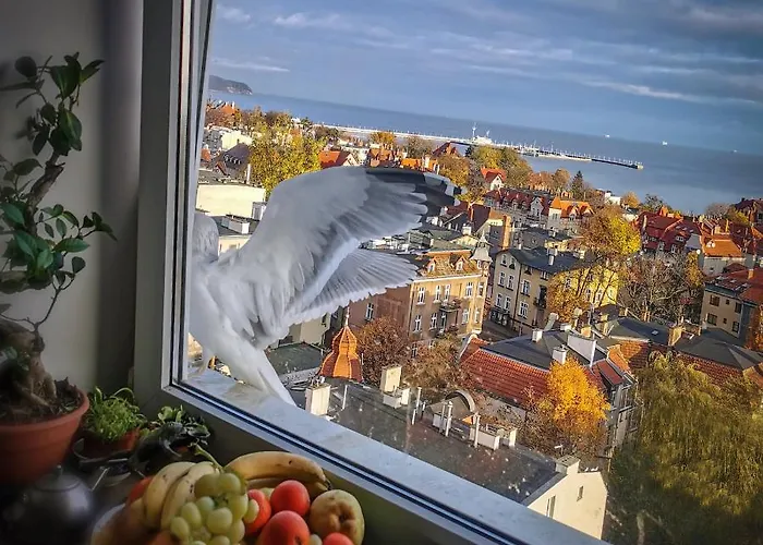 Przy Plazy Z Widokiem Na Morze Проживание в семье