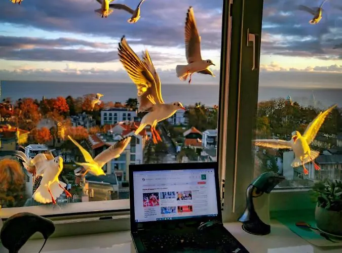 Przy Plazy Z Widokiem Na Morze 民宿 *