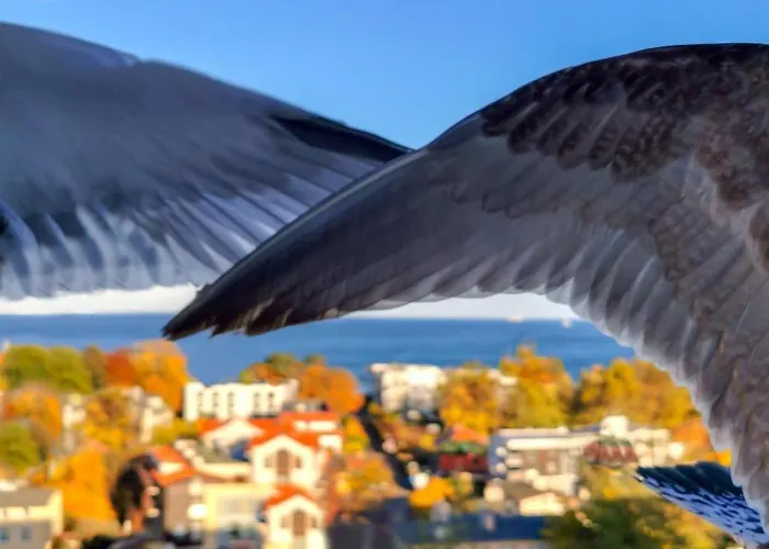 Przy Plazy Z Widokiem Na Morze * Сопот