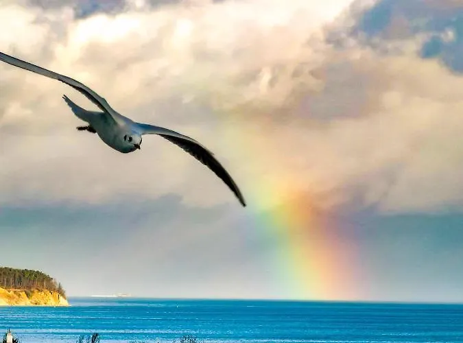 Przy Plazy Z Widokiem Na Morze Проживание в семье