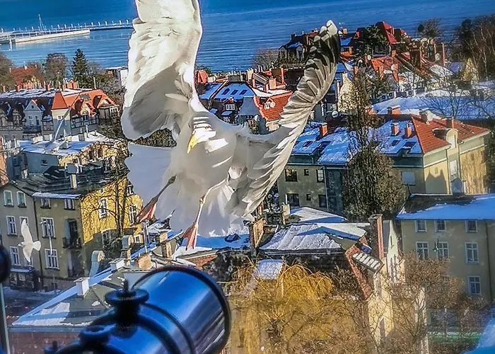 Проживание в семье Przy Plazy Z Widokiem Na Morze Сопот