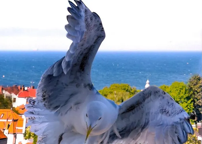 Habitación en casa particular Przy Plazy Z Widokiem Na Morze Sopot