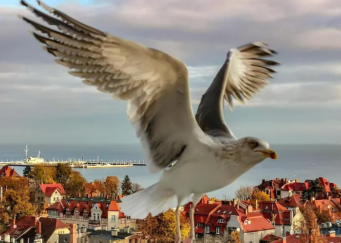 Habitación en casa particular Przy Plazy Z Widokiem Na Morze *