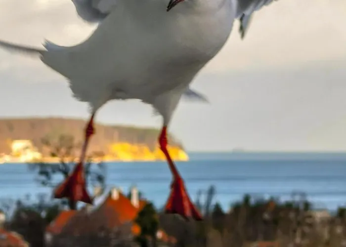 Przy Plazy Z Widokiem Na Morze Проживание в семье Сопот