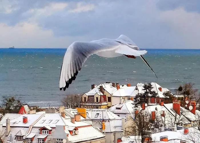 Проживание в семье Przy Plazy Z Widokiem Na Morze *