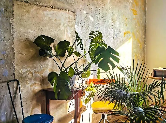 Przy Plazy Z Widokiem Na Morze *