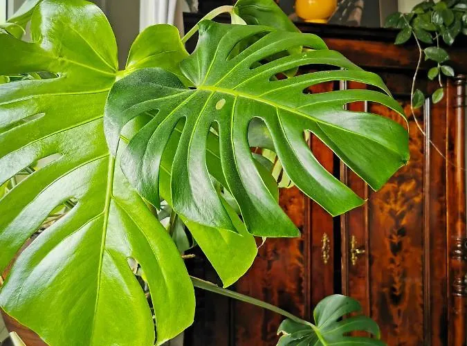 Habitación en casa particular Przy Plazy Z Widokiem Na Morze Sopot