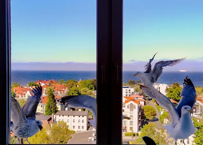 Проживание в семье Przy Plazy Z Widokiem Na Morze Сопот