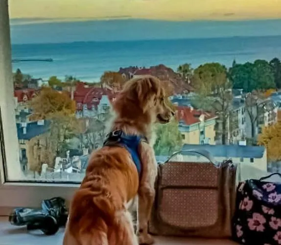 Habitación en casa particular Przy Plazy Z Widokiem Na Morze *