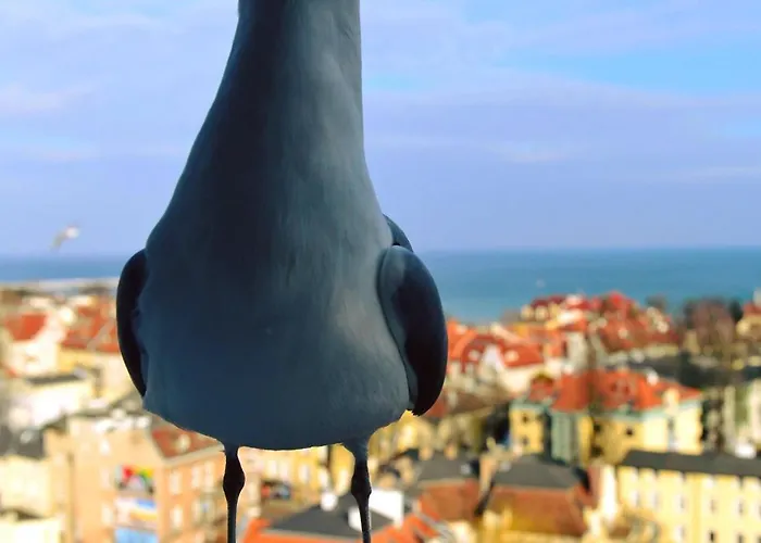 Habitación en casa particular Przy Plazy Z Widokiem Na Morze