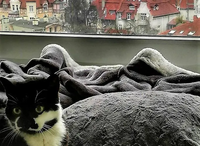 Przy Plazy Z Widokiem Na Morze Habitación en casa particular *