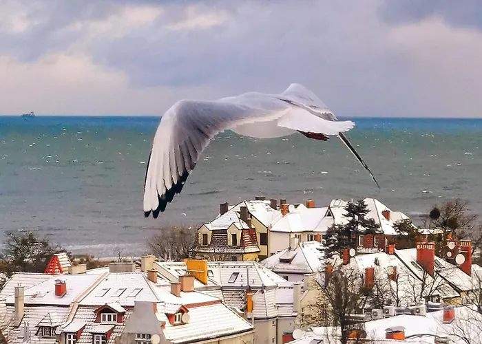 Przy Plazy Z Widokiem Na Morze Habitación en casa particular *