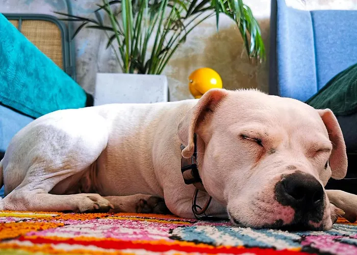 Przy Plazy Z Widokiem Na Morze