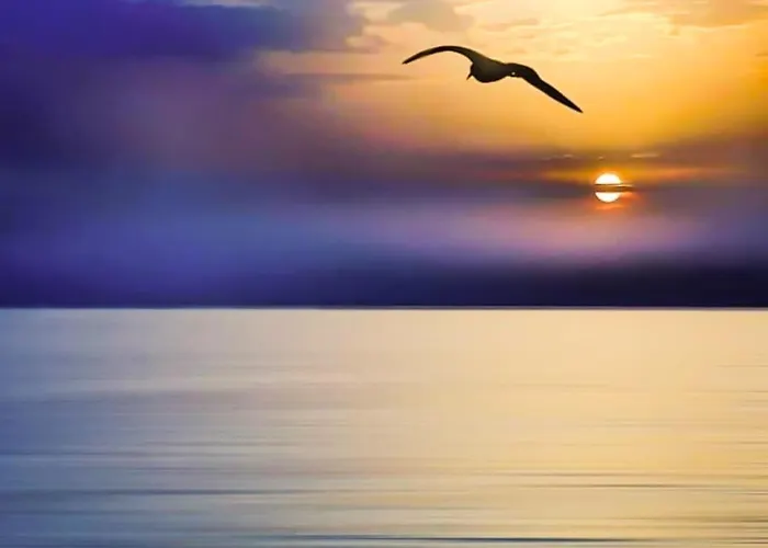 Проживание в семье Przy Plazy Z Widokiem Na Morze *