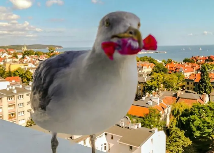 Przy Plazy Z Widokiem Na Morze