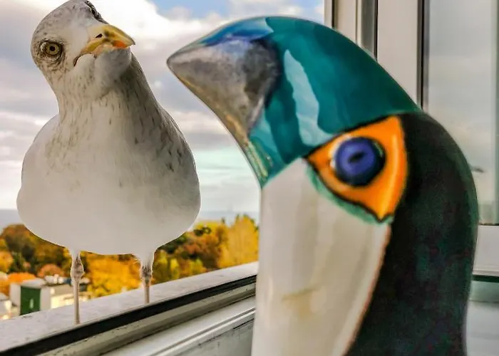 Przy Plazy Z Widokiem Na Morze Habitación en casa particular *